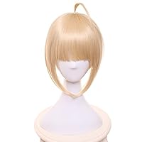 Astolfo - Fate Apocrypha Fgo Rider Astolfo Wig Cosplay Costume PNG