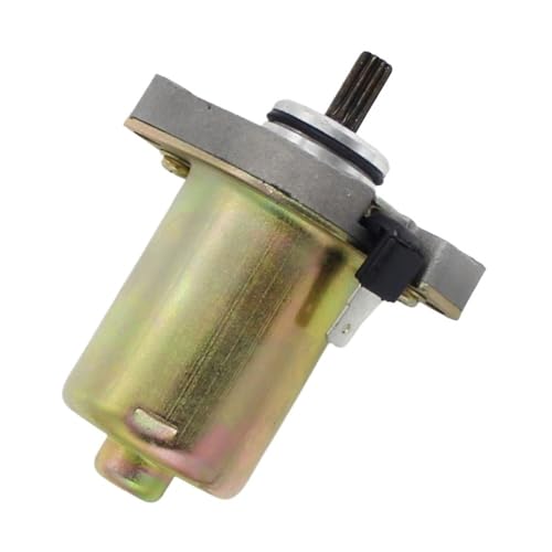 oCNn[^[ dX^[^[[^[n iԁFAP8206459 A~R 50 1990-1999 XJxI 1993-2005 Ko[ 1994