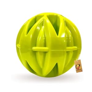 Foodie Puppies Durable TPR, Thermo Plastic Rubber Ball Toy for Large to Medium Size Dogs for Fetching, Tugging, Chewing, and Teething, Color May Vary (MegaLast Ball)