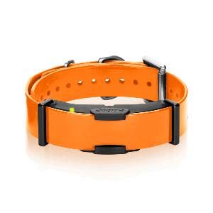 Dogtra - Collar extra de entrenamiento ARC800