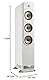 Polk Audio Signature Elite ES60 hochauflösender HiFi Standlautsprecher fürs Heimkino, Hi-Res Zertifiziert, kompatibel mit Dolby Atmos und DTS:X (Stück)