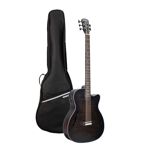 WishMade 5 String Acoustic Electric Bass Guitar Hollow Body Black