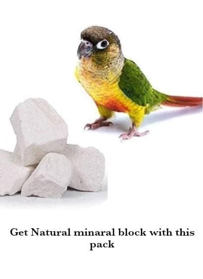 Image of R.S. Birds & Grains Mix Seed Bird Food |Cockatiel & African Lovebird Bird Food | Daily Bird Feed Seed Mix 1000gm