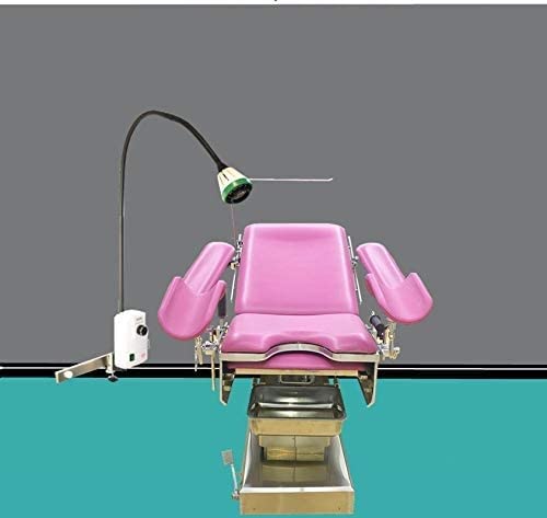 Generico Lampada per Visita Medica Lampada per Visita Medica chirurgica a LED da 9 W, Lampada per Visita chirurgica Dentale e ortodontica con Lampada a Collo D'Oca Flessibile, per ginecologia, ambula
