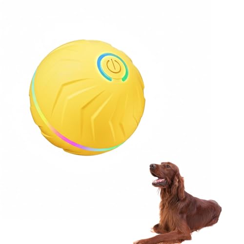 Lifetips �A�C���b�V���E�Z�b�^�[�iIrish Setter�j �d����������{�[�� �� �L ������] �y�b�g�p �{�[�� �[�d�� ���� ���� �V�� ����� �ЂƂ�V�� �^���s�� �X�g���X ���� �m�� �������� �����_�� ���� ��Q�� ��� ���� �\ 