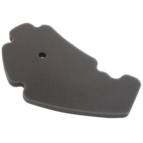 AHL Premium Sponge Air Filter for Piaggio BV Beverly MP3 X7 X8 X9 X10 XEvo Aprilia Atlantic Sport City Scarabeo SR 125 200 250 300 400 500 OEM 1414496 1412129 2030134 8292580P