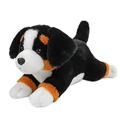 Bernese Mountain Dog