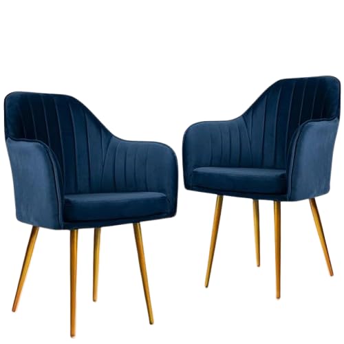 Image of Accent Chairs for Living Room | Modern Armchair in Velvet Fabric with Golden Legs | Set of 1 Chair for Home, Office, Restaurent, Cafe (Navy)