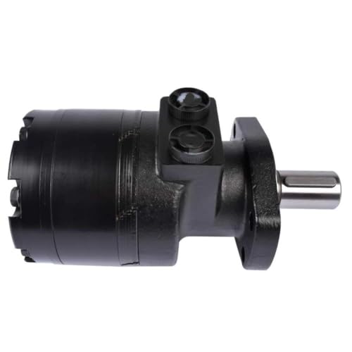 Moteur hydraulique AP01 réparer entraînement Blanc BMER2475MSG2RB défaillant