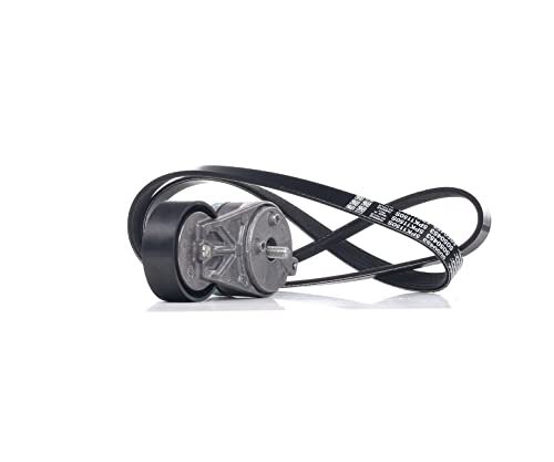 DAYCO Kit Cinghie Poly-V DAYCO Kit Cinghie Poly-V KPV385 per ABARTH Grande Punto (199_)