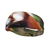 Little Red Panda Sweatbands for Men Women Sport Headbands Moisture Wicking Athletic Sweat Band Fashion Non Slip Hairband for Tennis, Basketball, Running, Gym