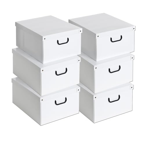 Lavatelli Set of 6 Cardboard Wardrobe Boxes for Clothes and Linen for...