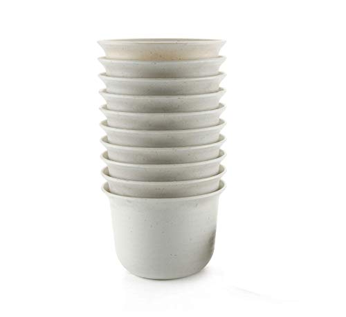 goldblue Plastic Round Succulent Plant Pot Nursery Flower Pots Cactus Plant Pot Flower Pot (5Inch, White) goldblue Plastic Round Succulent Plant Pot Nursery Flower Pots Cactus Plant Pot Flower Pot (5Inch, White)