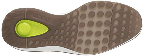 ECCO Expressionist Men's Formal Shoes | 83642401001