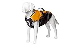 Stunt Puppy Float Doggy Life Jacket, Mango, M