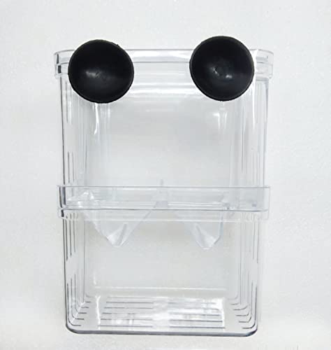 Image of Sansefero Betta Tank (Breeding Box)