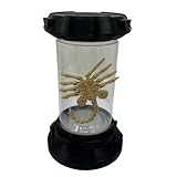 Facehugger Popcorn Bucket, LED Lighted Alien Gothic Popcorn Bucket Home Decor, Creepy Halloween Party Tabletop Decoration Accessories