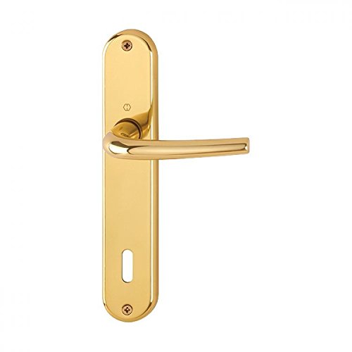 MATERIALE ALLUMINIO Hoppe Serie Nostra Seattle Maniglia Per Porta Interna Su Placca Foro Normale Alluminio Dorato Lucido
