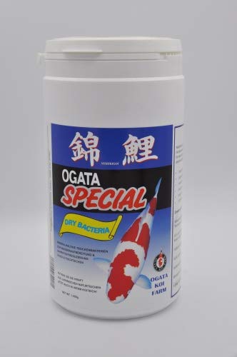 Ogata Special Dry Bacteria 1000gr Cover