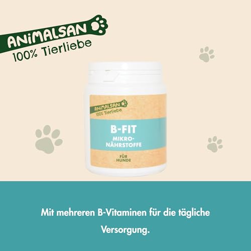 Animalsan B-Fit – Vitamin B-Komplex Tabletten für Hunde – Ergänzungsfuttermittel mit Vitamin B1, B2, B5, B6, B12 & Folsäure – zur täglichen Versorgung – 100 Tabletten