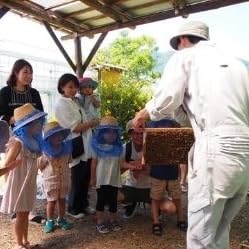 [山田みつばち農園]体験チケット(2000円分)049-a001