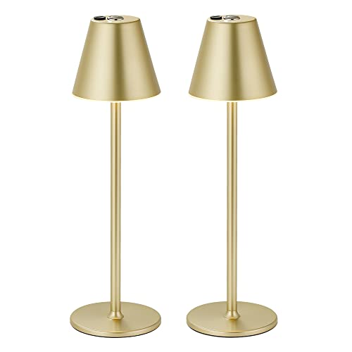 10 best cordless light Quick Guide Pro