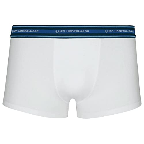 Kit Cueca Sunga Lupo Algodão c/ 10 Peças