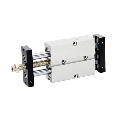 Vérin pneumatique double arbre TN réglable pour guidage précis