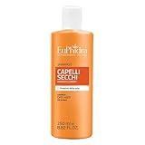 Euphidra