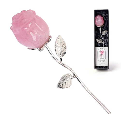RJINGSHI Rose Flower Gift Set image