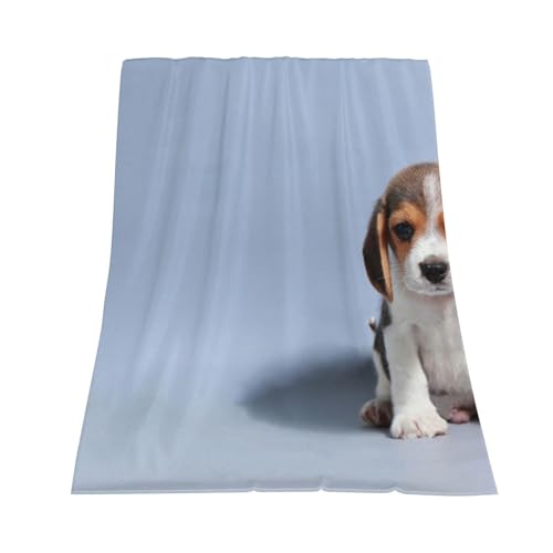 Couverture Beagle douce 60x50 cadeau idéal anniversaire Noël - 4