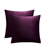 JUSPURBET Decorative Velvet Throw Pillow Covers for Sofa Couch Bed,Pack of 2 Luxury Soft Cushion Cas