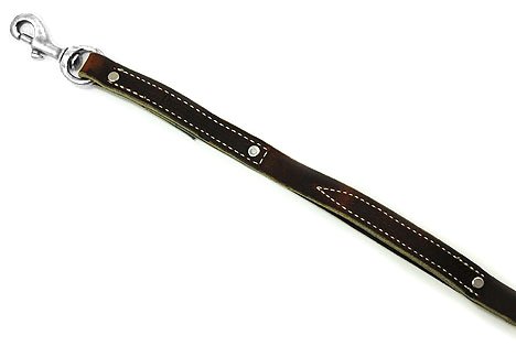 Leerburg 2 Handled Amish Leather Leash, 6' Long 3/4" Wide, Brown W/ Stainless Steel Hardware #TOP4