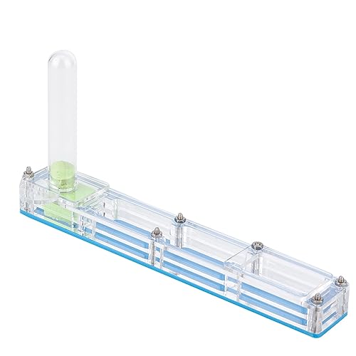 Phefop Acryl Ameisenzuchthaus für Heimische Insektenschule