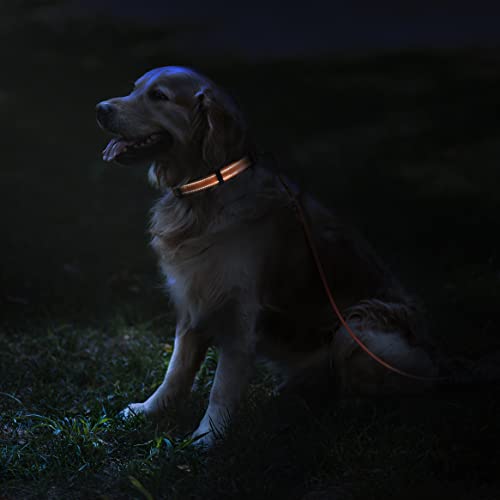 Collardirect Reflective Dog Collar For A Small, Medium, Large Dog Or Puppy With A Quick Release Buckle - Boy And Girl - Nylon Suitable For Swimming (18-26 Inch, Orange) #TOP2