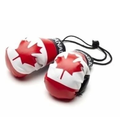 Mini Boxing Gloves with Flag Design – Stylish Hanging Car Mirror Accessory for Interior Décor.
