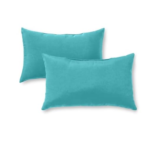 Set of 2 Reversible Outdoor Throw Pillows