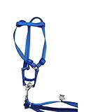 Safe & Easy Walk Large Bird Harness and Leash, Adjustable Nylon Parrot Harness for Outside Adventures, Fits Macaws, Cockatoos, Large Parrots (L Size, Blue)