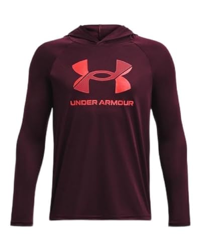 Under Armour Boys' Tech Big Logo Hoodie