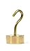 Eisco Labs Individual Hooked Weights - Brass - 50g