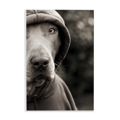 Dog Wearing Hooded Sweater, 13 x 19 Inch Mounted Print on Wall Plaque