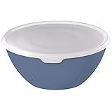 Komfort: Schüssel zum Servieren von Salat, Desserts, Chips, Nüssen usw. - Die Plastikschüssel ist spülmaschinenfest - blaue Schale mit transparentem Deckel
