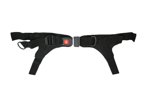 Rehabilitation Advantage Four Point Padded Wheelchair Positioning Belt