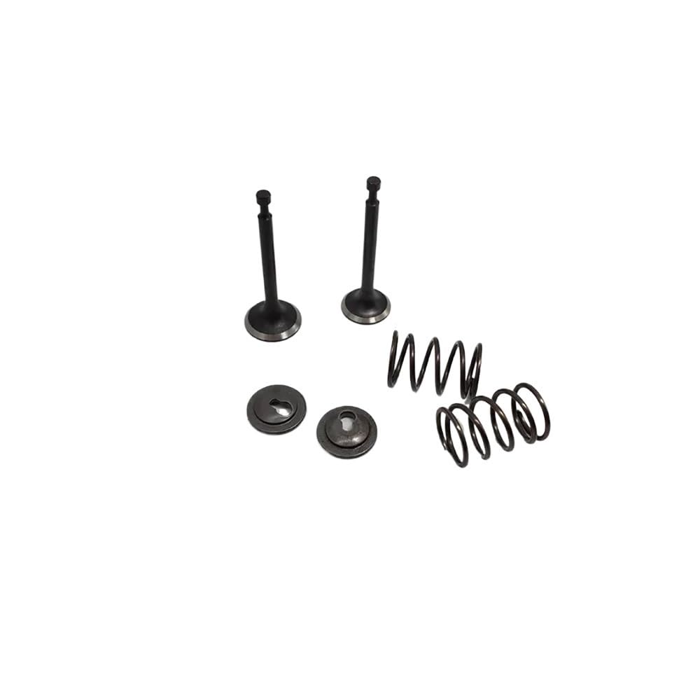 Parti di Ricambio compatibili per Motore Tosaerba GX35 GX35NT HHT35S 140 Set di bilancieri a Molla per valvola di Scarico di aspirazione