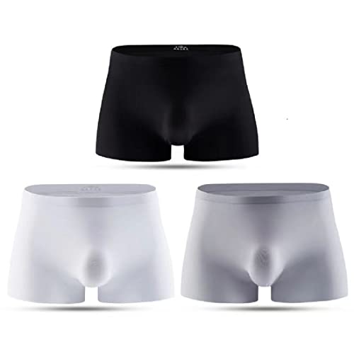 Men's Sheer Underwear Traceless Ice Silk Boxer Ultra-thin Sexy Briefs 3 Pack