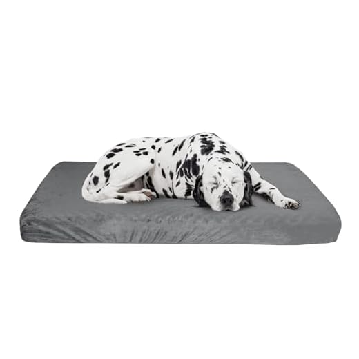 Orthopedic Dog Bed - 2-Layer Pet Bed for Floor, Kennel, or Crate with Removable Washable Cover - 46x27 Dog Bed for Large Dogs by PETMAKER (Gray)