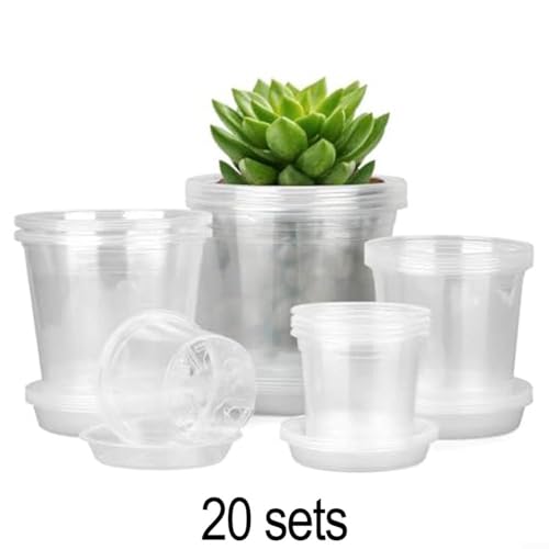 Pots de fleurs en plastique transparent pour observer et protéger vos orchidées