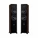 Fluance Ai81 Powered Floorstanding Tower Speakers and DB10 10