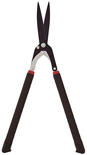 ݖ{_H쏊 J}LNNyZ凂570