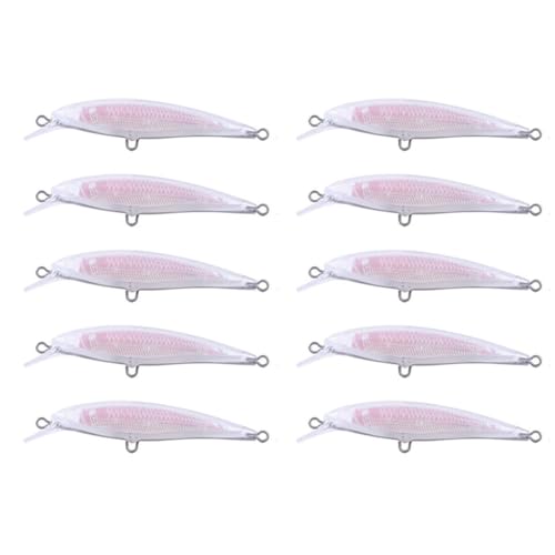 Eeskvrebuz �J�X�^���t�B�b�V���O�̃��A�[�̂��߂�DIY���h���̋󔒂̃x�C�g�~�m�[10pcs 8.5cm�z���O���t�B�b�N���g�����C���[��̓�